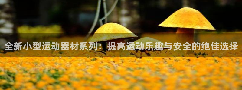 凯捷体育娱乐：全新小型运动器材系列：提高运动乐趣与安