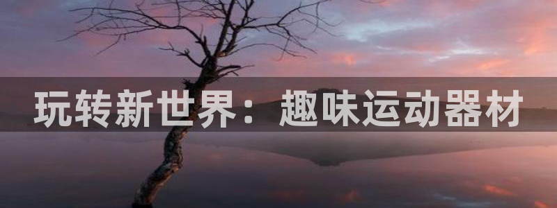 凯捷体育官网：玩转新世界：趣味运动器材