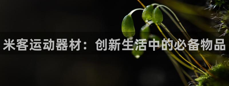 凯捷体育代理：米客运动器材：创新生活中的必备物品