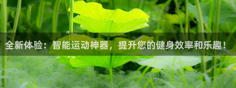 意昂平台体育：全新体验：智能运动神器，提升您的健身效