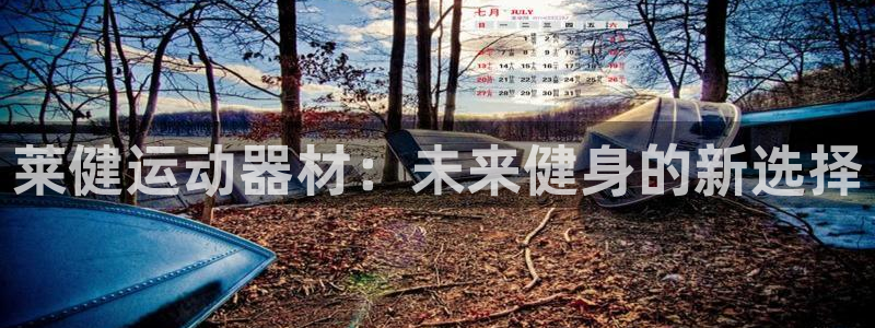 凯捷体育平台注册流程视频：莱健运动器材：未来健身的新