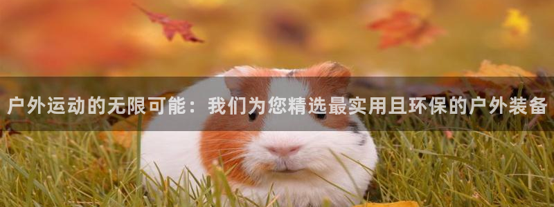 凯捷体育平台假的吗是真的吗：户外运动的无限可能：我们