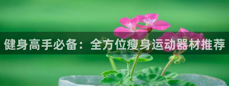 凯捷体育集团官网首页