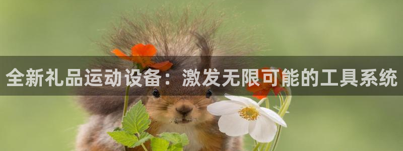 凯捷体育软件：全新礼品运动设备：激发无限可能的工具系