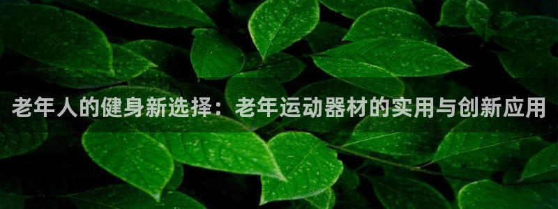 凯捷体育平台注册要钱吗安全吗：老年人的健身新选择：老