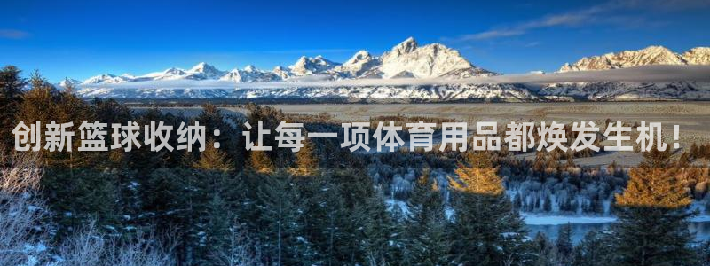 凯捷体育平台注册：创新篮球收纳：让每一项体育用品都焕