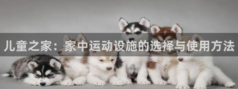 凯捷体育娱乐首页网站大全