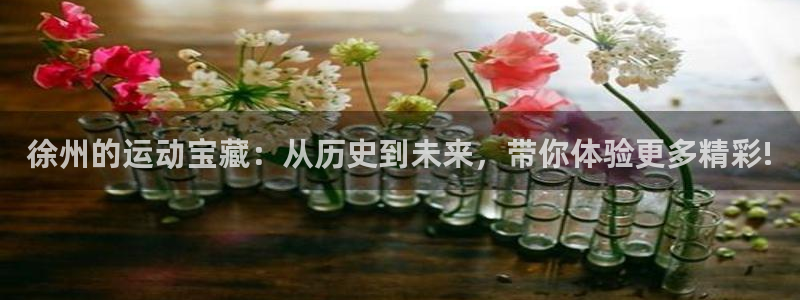 凯捷体育平台是正规平台吗安全吗：徐州的运动宝藏：从历